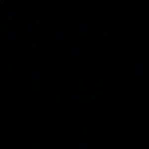 Meet your Posher, Raquel